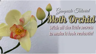 How to Make a Gum Paste Orchid / sugar orchid flower tutorial