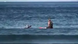 RC surfer trolls real surfer