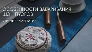 Как заварить шэн пуэр без горечи, гайд от Art of Tea