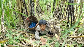 Full Video: 150 days of harvesting wild fruits, beans, and super-sized bamboo shoots to sell