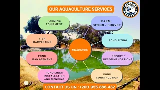 Aquaculture | Fish Farming: fish pond construction with Ladville Aquatech in Zambia.