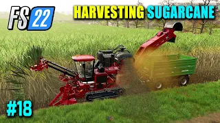 Harvesting and Selling Sugarcane, Wool, Eggs & Silage - FS22 Part 18