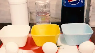 Eggs | 1 Week Inside | Pepsi Vs Vinegar Vs Chlorine