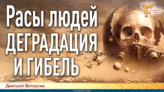 Дмитрий Белоусов. Расы людей. Деградация и гибель