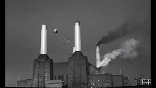 Pink Floyd When Pigs Do Fly (The Making of Animals)