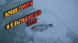 ловля сороги на мормышку плюс бонус