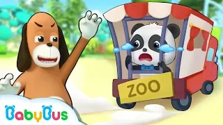 Bayi Panda Kiki Di kirim Mr.Dao Ke Tempat Sirkus | Kartun Anak-anak | Bahasa Indonesia | BabyBus