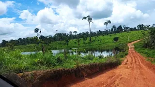 FAZENDA 400 ALQUEIRES À VENDA EM ALTAMIRA-PARÁ