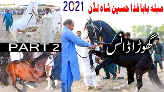 ghora dance 2021|mela  luddan vehari part 2|Pakistan Best Selected Horses|Horse dance with dhol