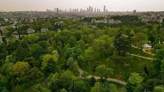 Von Gärten und Wäldern bis hin zu Inseln – in Istanbul gibt es viel Grün zum Genießen