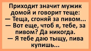 Приходит мужик домой и говорит теще... Сборник смешных анекдотов! Юмор!