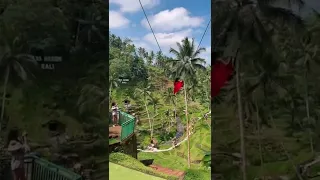 Expectations vs reality of Bali swing😂😂 #baliswing #bali