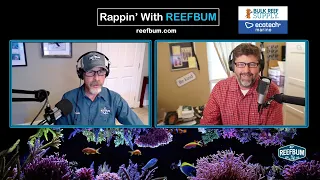 Rappin' With ReefBum: Guest Jim Graham, a.k.a. Telegraham