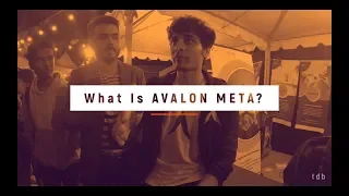 WHAT IS AVALON META & META STARTUP -  BY VARUN MAYYA | B.A.R EPISODE 2 | THE DIGITAL BUFFER