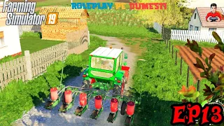 Roleplay pe Dumesti [EP#13]-La semănat de Floarea-Soarelui-CU COCOMIN |Farming Simulator 19|