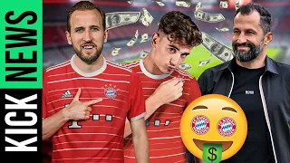 Bayern will NOCH MEHR TOPSTARS! Lewandowski „TÖDLICH“ | KickNews