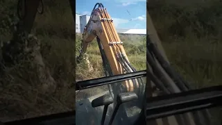 Guy Removes Hornet's Nest With a Backhoe to Disastrous Results, Nobody Knows if He's Ali