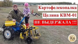 Уборка картофеля мотоблоком, картофелекопалка Целина квм-01 не выдержала!!!