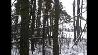 the "Bigfoot Captured March 2013!" Video