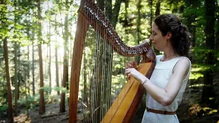 "The Days to Come" Celtic Harp Solo by Nadia Birkenstock (keltische Hafe)