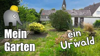 So sieht mein Garten aus - Gartenrundgang Juni 2022