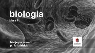 Biologia - klasa 7 SP. Zmysł powonienia, smaku i dotyku