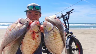 Secret Weapon Finally Pays Off - Old School Surf Fishing on the California Coast