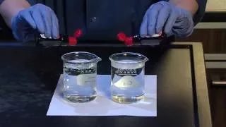 Diffusion and Osmosis - For Teachers