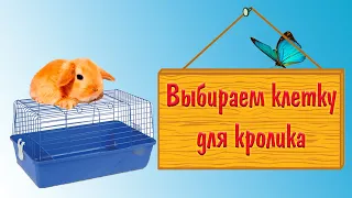 Какую клетку выбрать, купить для декоративного кролика