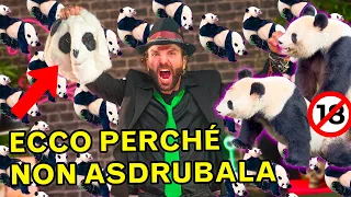 Abbiamo scoperto perché il PANDA non vuole "pucciare" (forse)