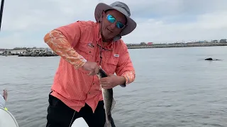 Day 2 Grand Isle Speckled trout and Redfish