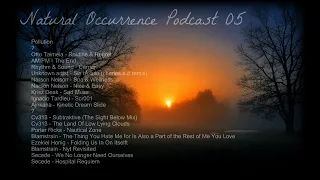 Liquid Fraction - Natural Occurrence Podcast 05 - Ambient DuB Techno Mix - 6th Feb 2023.