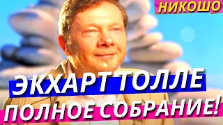 Экхарт Толле: Полное Собрание Лекций На Русском! / Полная Аудиокнига Nikosho