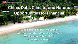 China, Debt, Climate and Nature: Opportunities for Financial Stability