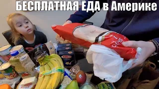 БЕСПЛАТНАЯ ЕДА в Америке. Забрали продукты из Фудбанка.