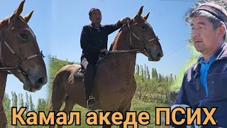 Камал акеден ПСИХ