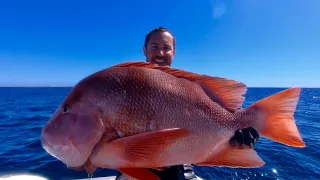 Spearfishing Western Australia, the good life