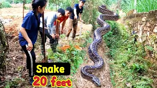 Follow The Footprint Of The World Biggest Snakes Losing Ways to The Forest | Mike Vlogs