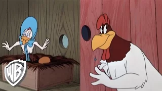 Looney Tunes | A Broken Leghorn