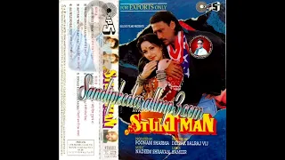 Aaj Mile Ho Kal Phir Milna _ Kumar Sanu & Alka Yagnik ( Stunt Man 1994 )