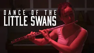 Dance of the Little Swans | SWAN LAKE