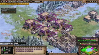 Persian Assault - Age of Empires 2 Definitive Edition