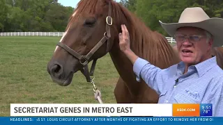 Secretariat genes live on in the metro east