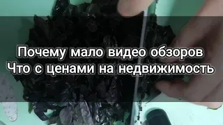 Элитный соус из помидор, почему мало видео обзоров и что будет с ценами на недвижимость, мое мнение