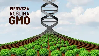 Pierwsza roślina GMO (1986) | Krótka historia inżynierii genetycznej