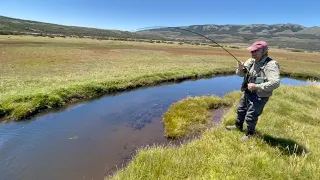 Fly Fishing in Patagonia: Spring Creek Brown Trout Non-Stop Action