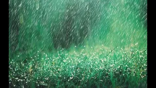 Rain Sounds