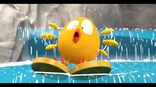 Onde está Chicky? 2023 | A CACHOEIRA | Desenhos Animados Infantil | Novos episódios