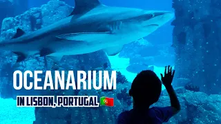 Lisbon Oceanarium: One of the Best Aquariums in the World! #oceanarium #seaaquarium #portugal