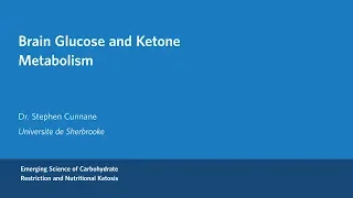 Dr.  Stephen Cunnane - Brain Glucose and Ketone Metabolism